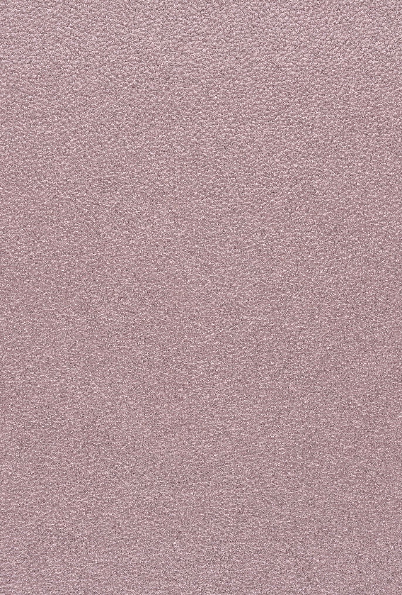 PRL Madras