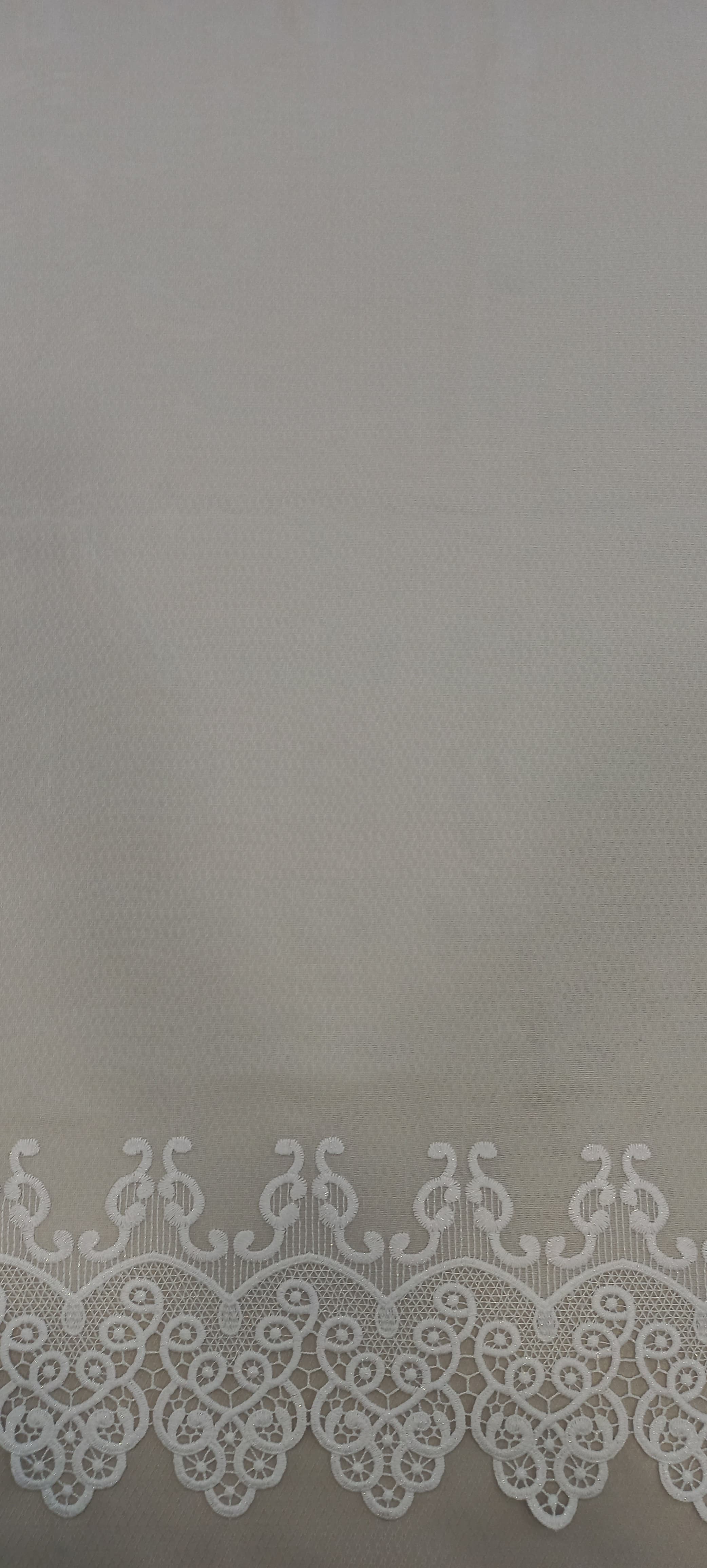 B1-113027-19-O · AFN268-T01