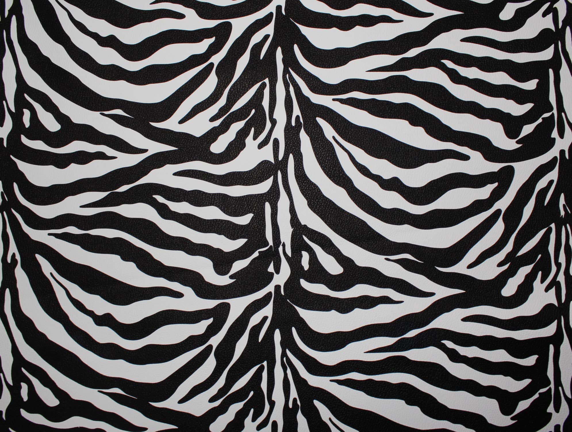 Zebra · FL
