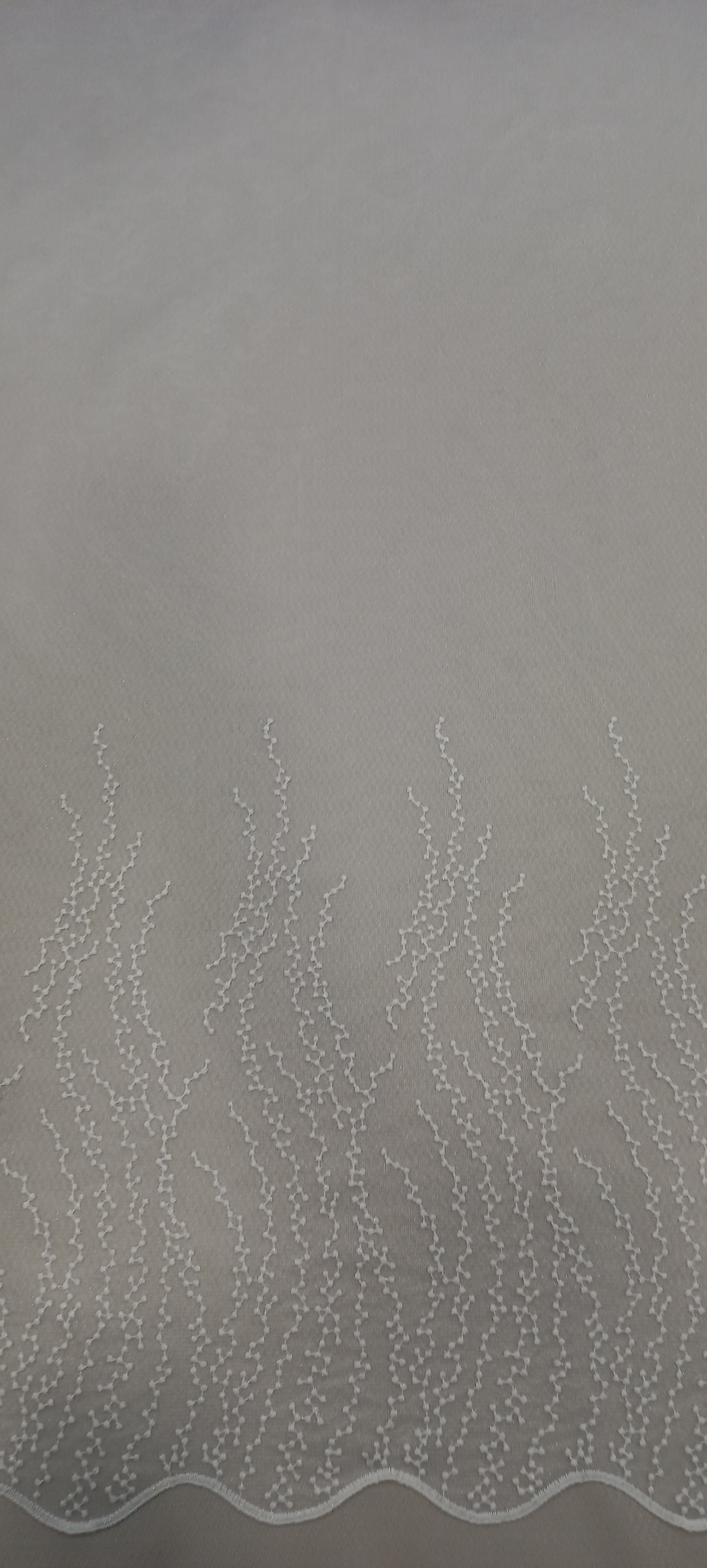 P1-17579-45-O · AFN268-T01