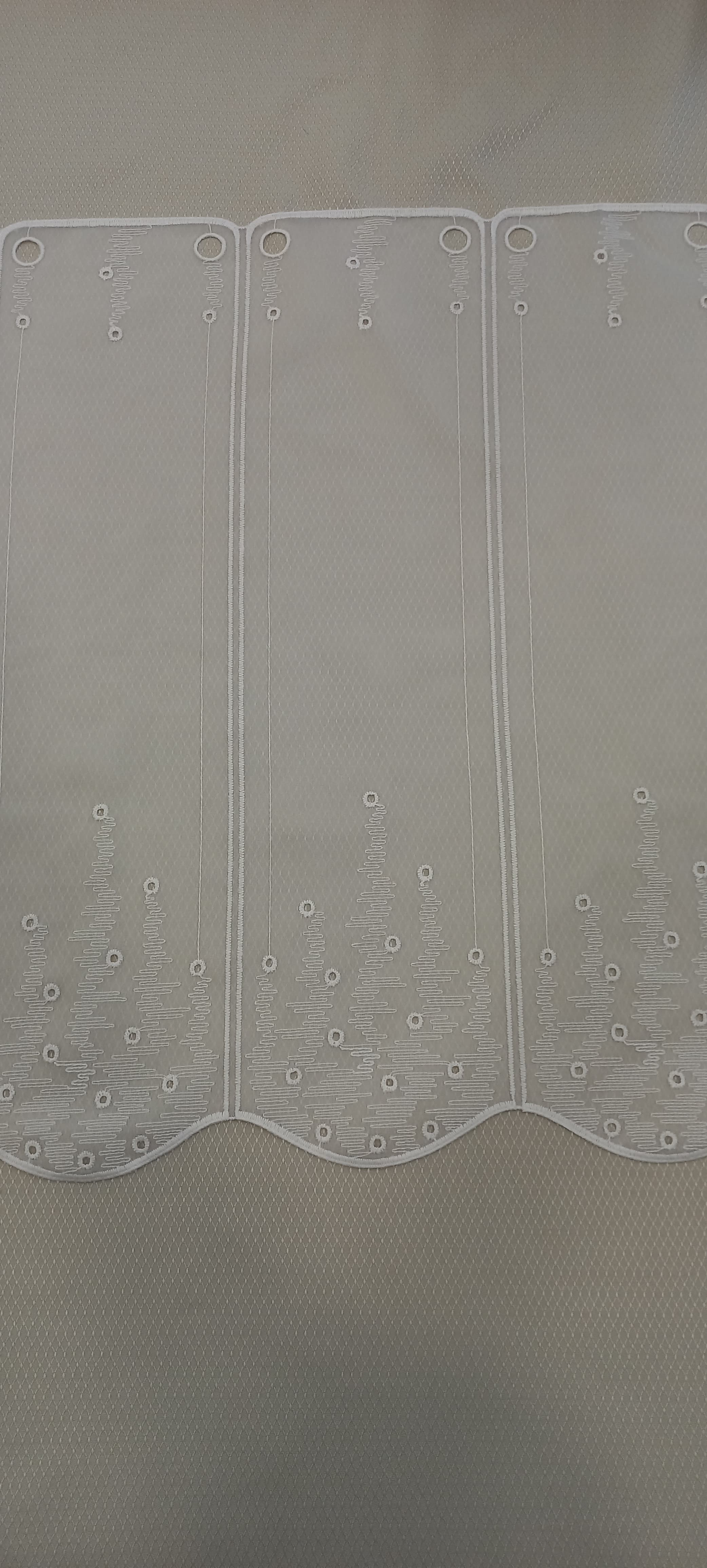 CA-224197-60-O
