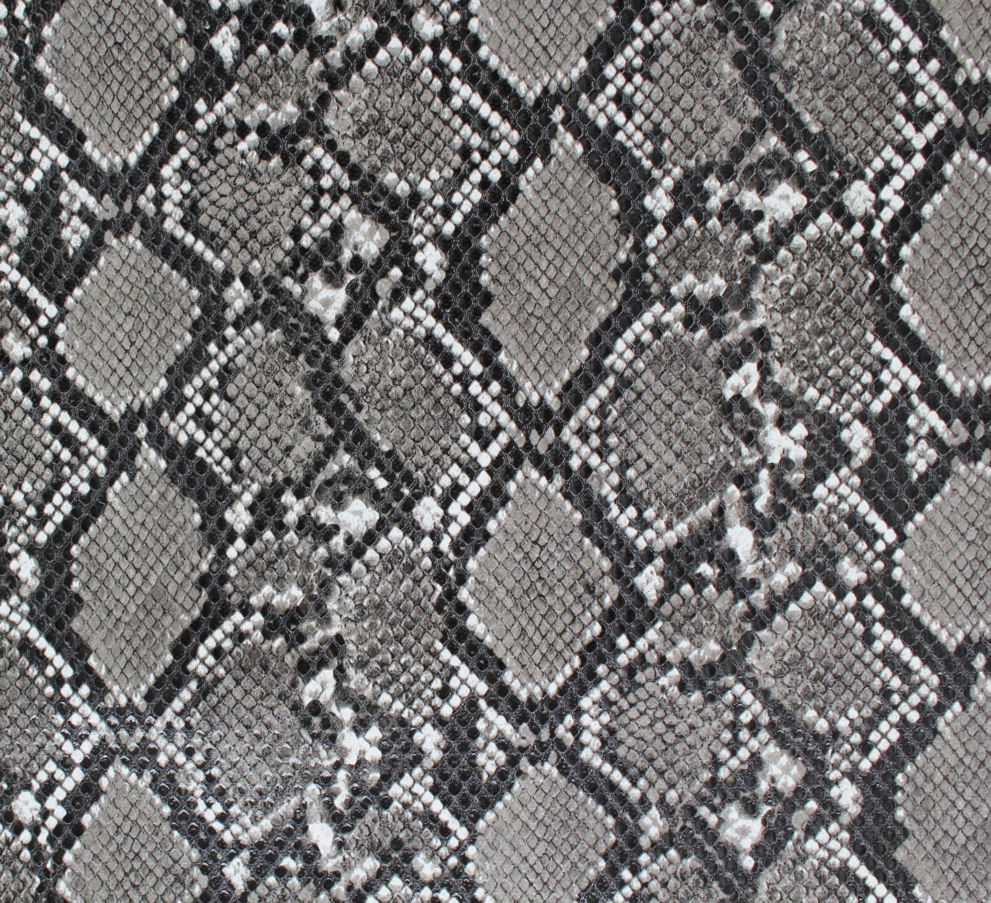Yılan · YILAN-BLACK WHITE