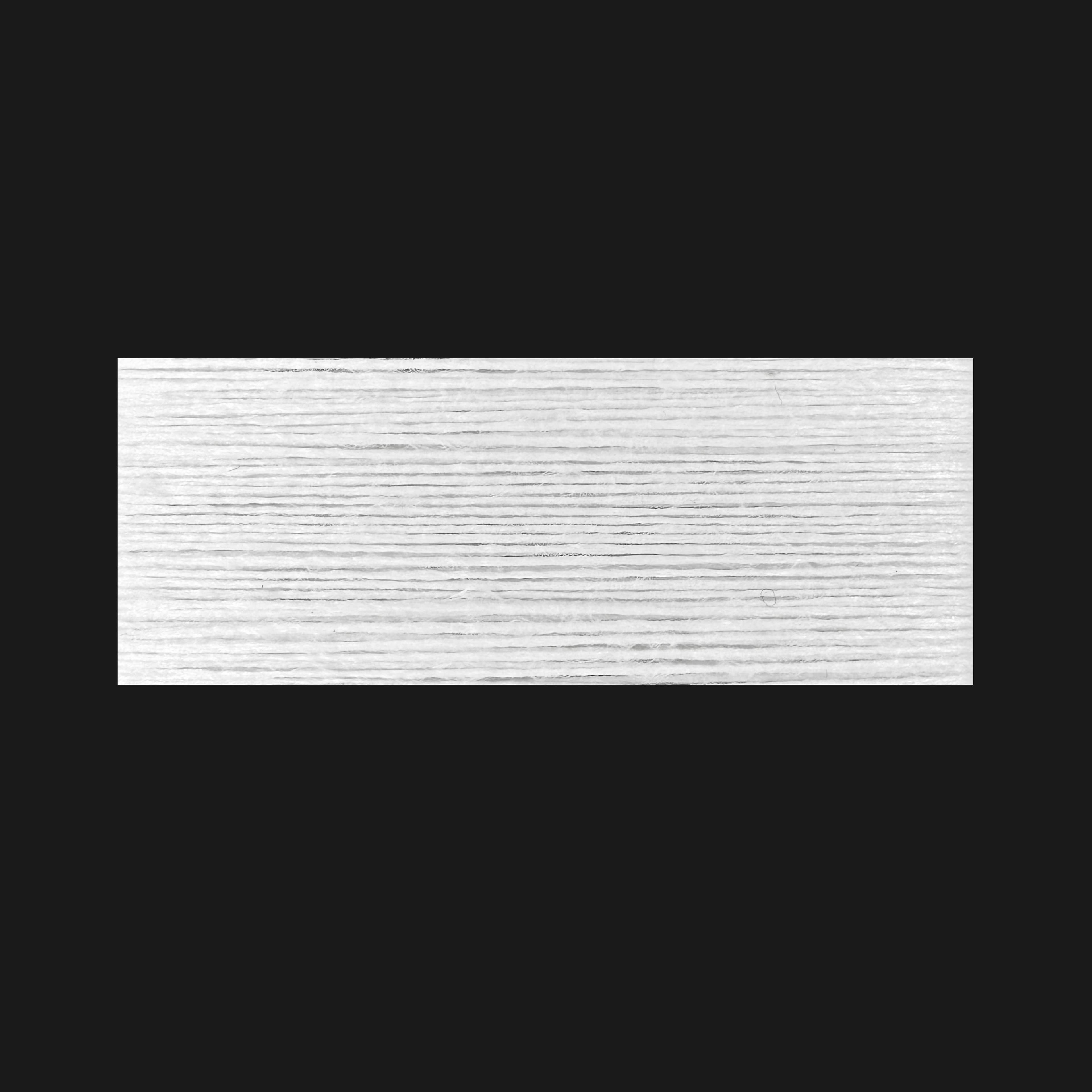 FR RENAT 300
