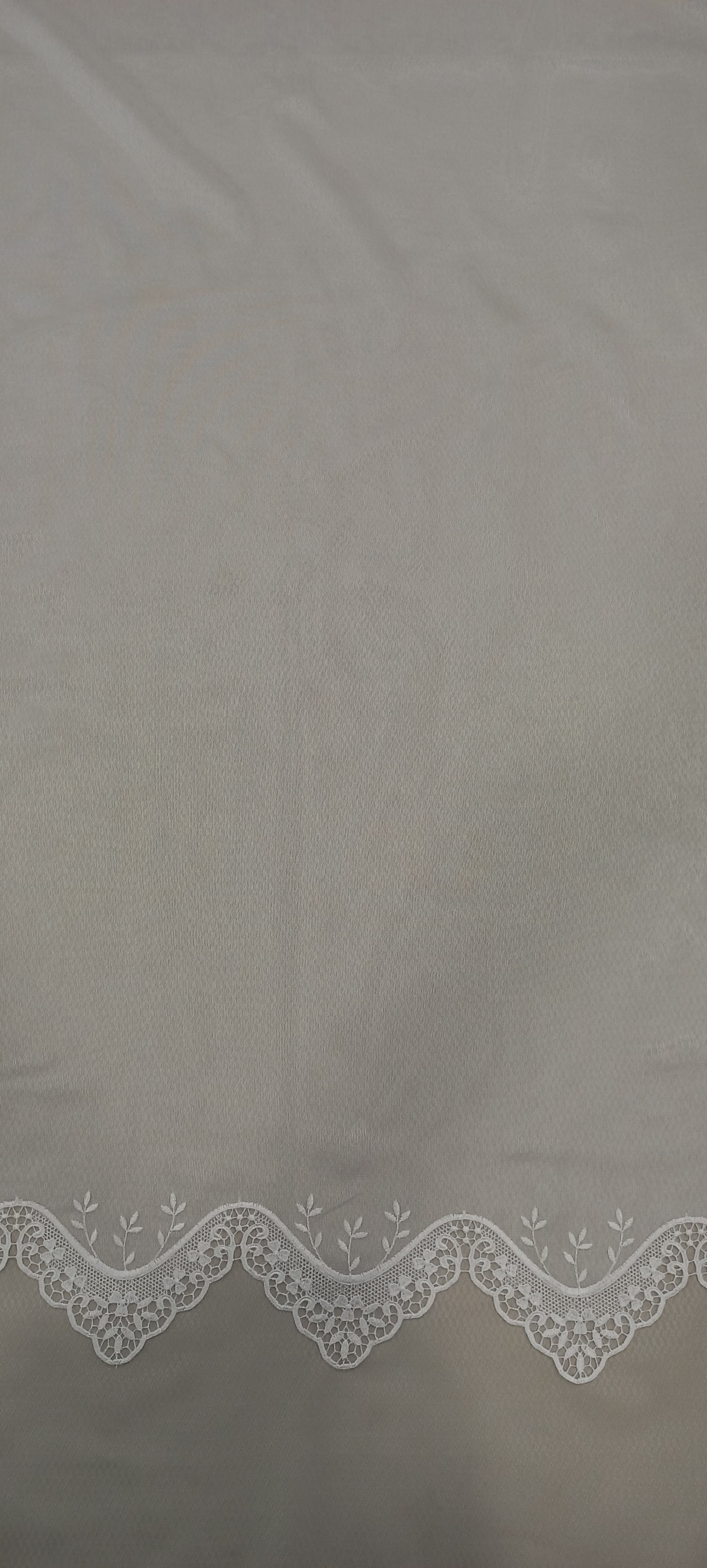B1-224102-11-O